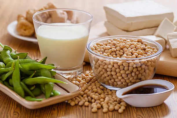 Global Soy Supply Chain For A Better Future