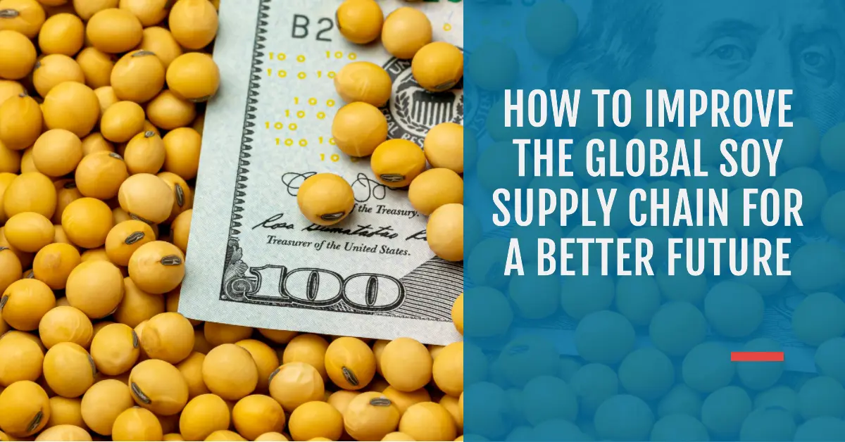 How to Improve The Global Soy Supply Chain For A Better Future